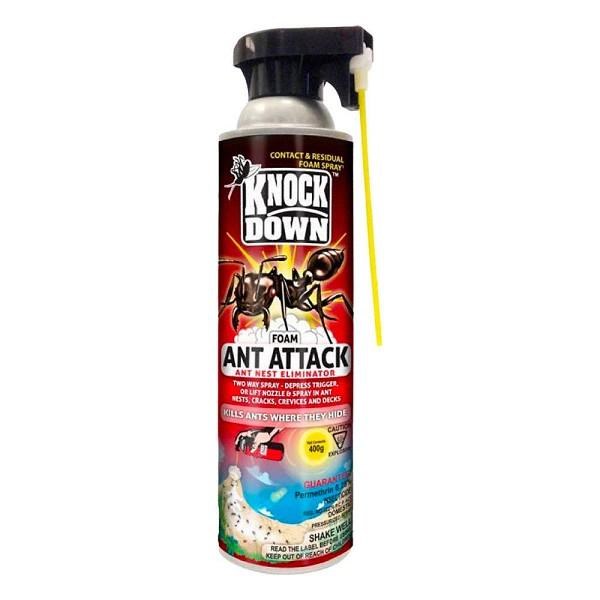 Knockdown Ant Foam Destroyer - 400g (12) (00118)