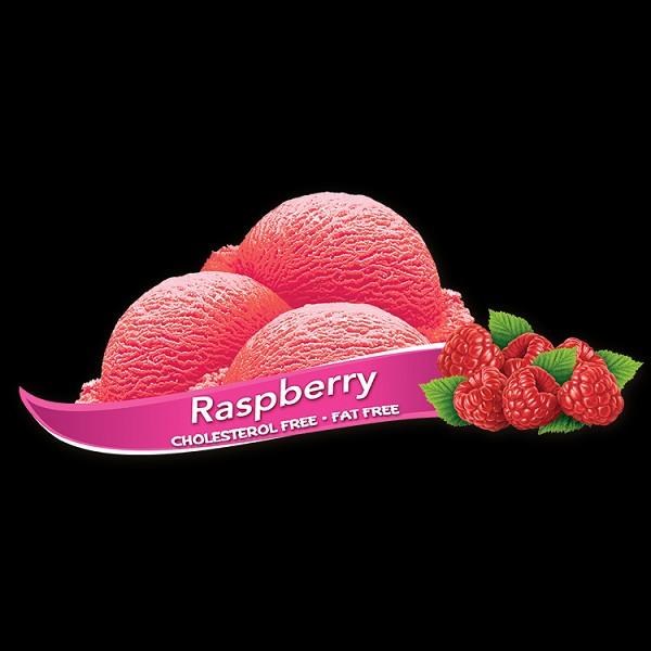 Chapman's RASPBERRY SORBET Hard Ice Cream - 11.4L (01027)