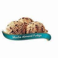 Chapman's Premium MOCHA ALMOND FUDGE Hard Ice Cream - 11.4L (01062)