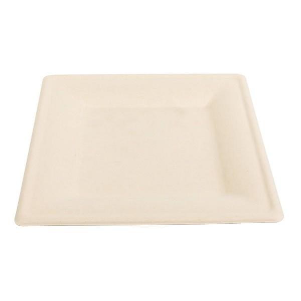 Primeware 10" Square Plate Bagasse - 250/CASE - SOLD BY CASE (DP-10-NPFA) (15883)