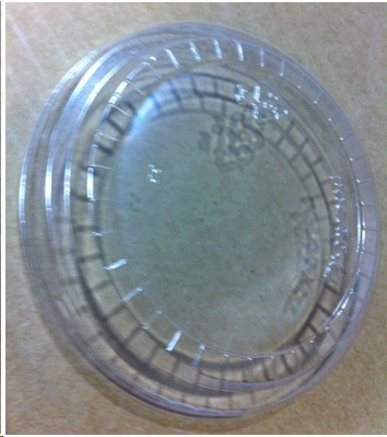 Lid - Flat Solid Polar 94mm - Clear -  100/sleeve- (10cs) (42380) (55995)