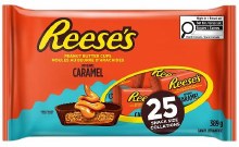 Hershey REESES PB Cups with Caramel Snack 25 - 389g (24)