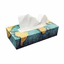Globe Facial Tissue - 30 x 100/BOX (00481)
