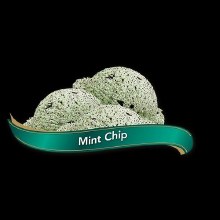 Chapman's Markdale MINT CHIP Hard Ice Cream - 11.4L (01013)