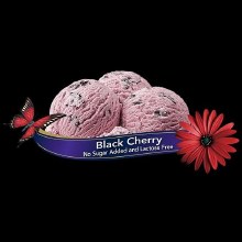 Chapman's NSA Lactose Free BLACK CHERRY Ice Cream - 11.4L (01141)