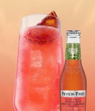 Fever Tree Blood Orange Ginger Beer Glass Bottle - 24 x 200mL - SOLD BY CASE - (1)