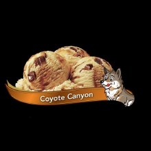 Chapman's Premium COYOTE CANYON Hard Ice Cream - 11.4L (01216)