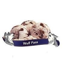 Chapman's Premium WOLF PASS Hard Ice Cream - 11.4L (01215)