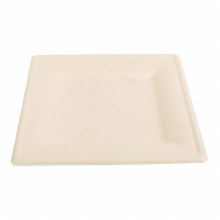 Primeware 10" Square Plate Bagasse - 250/CASE - SOLD BY CASE (DP-10-NPFA) (15883)