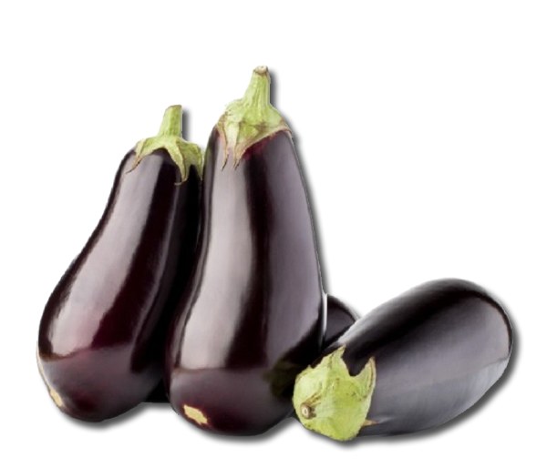 American Eggplant (Sell by pc)