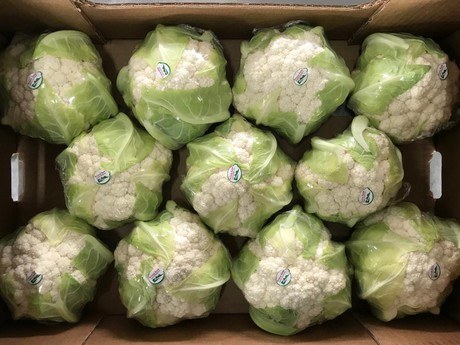 Cauliflower Case 12ct