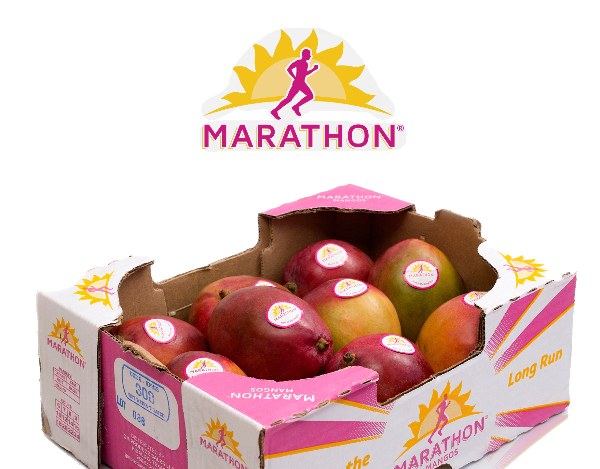 Marathon Kent Mango Box