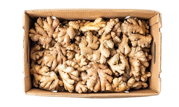 Organic Ginger Case (28-30)lb