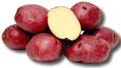 Red Potato (Sell by LB)