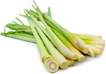 Lemon Grass (Sell by LB)