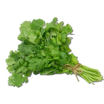 Cilantro (Sell by bunch)