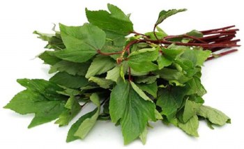 Gongura Leaves (Sell by LB)