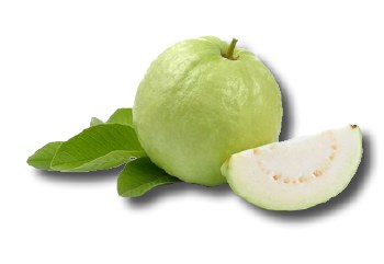Guava Big (Sell by LB)