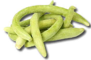 Indian Cucumber (tur)