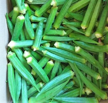 Indian Okra Case (13-15)lb