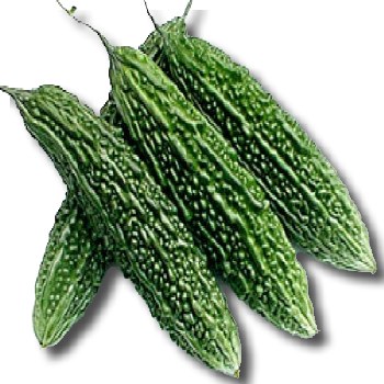 Indian Bittermelon (Sell by LB)