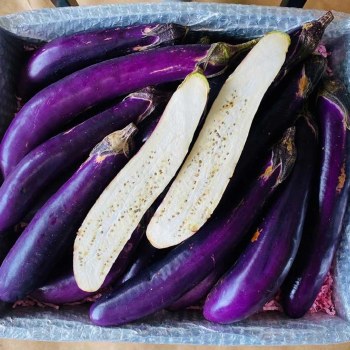 Long Eggplant Case 30lb