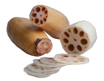 Lotus Root