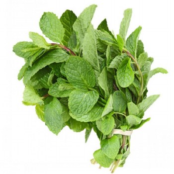 Mint Leaves (Sell by bunch)