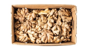 Organic Ginger Case (28-30)lb