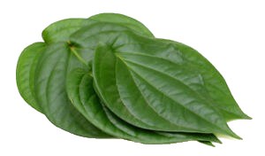 Paan Leaves (Sell by pc)