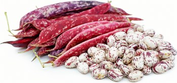 Red Beans (Sell by LB)