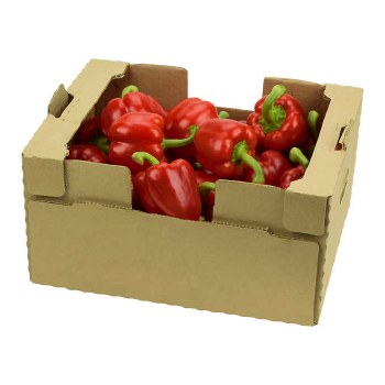 Red Bell Pepper Case