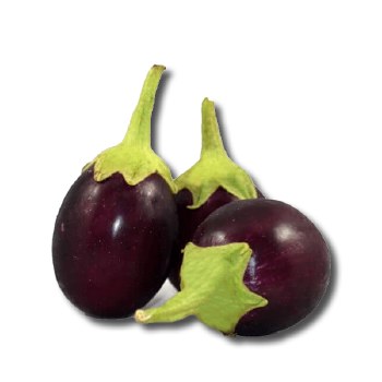 Round Indian Eggplant (Sell by LB)