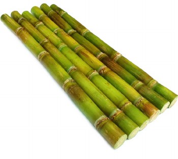 Sugarcane (Sell by pc)