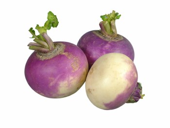 Turnip (Sell by LB)