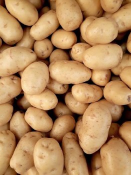 White Potato Case (45-50)lb