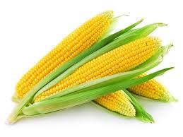 Yellow Corn (Sell by pc)