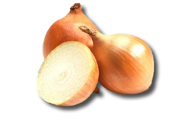 Yellow Onion (Sell by LB)