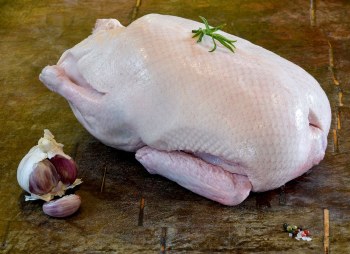 Duck - Whole