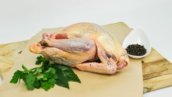 Fossil Farms - Guinea Hen