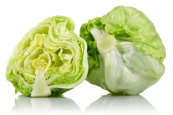 Lettuce - Iceberg