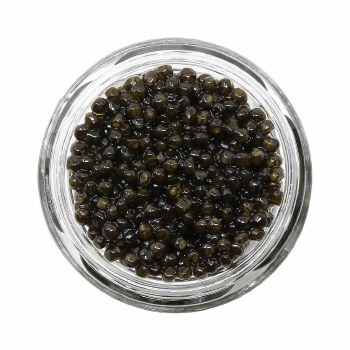 Caviar Star - Lyna Polska Siberian Sturgeon