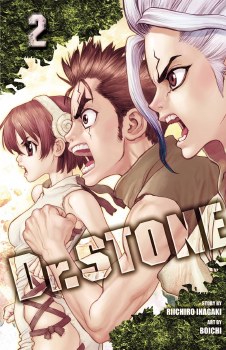 Dr Stone GN VOL 02 (C: 1-0-1)