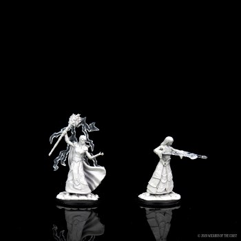 D&D Nolzurs Marvelous Miniatures Elf Wizard Female