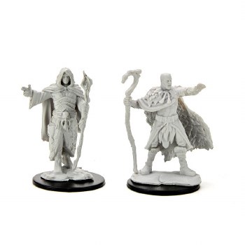 D&D Nolzurs Marvelous Miniatures Male Human Druid
