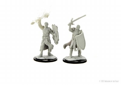 D&D Nolzurs Marvelous Miniatures Half-Elf Male Paladins