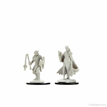 D&D Nolzurs Marvelous Miniatures Female Kalashtar Cleric