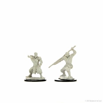 D&D Nolzurs Marvelous Miniatures Warforged Monk
