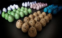 Wingspan Speckled Eggs (100pk)