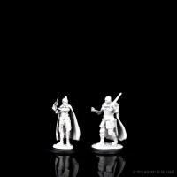 D&D Nolzurs Marvelous Minis Unpainted Human Ranger & Moon Elf Sorcerer